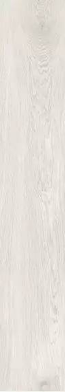 K-2301/SR Dubrava 200x1200x11