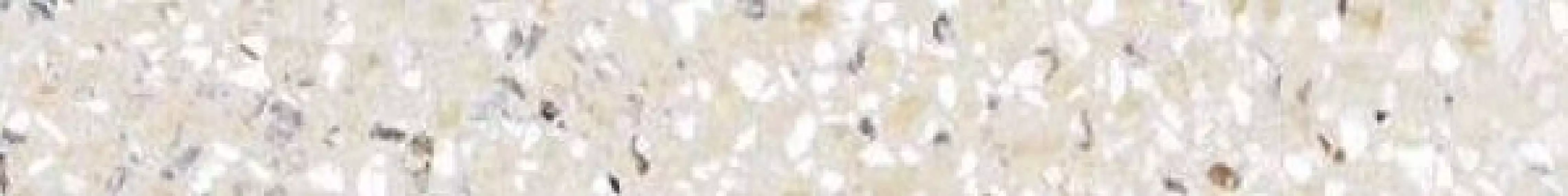 K949906LPR01VTE0 Terrazzo-X Плинтус Светлый Лаппато Ректификат 7.5х60