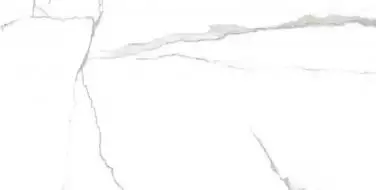 KAUNAS 60*120