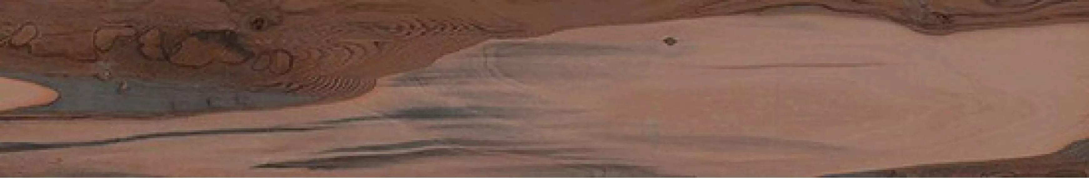 KAURI Kaimai Nat.Ret. 20*120