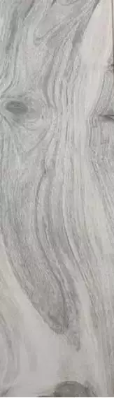 KAURI NELSON Nat.Ret. 20*120