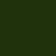 KINGDOM VERDE BOTELLA 20x20