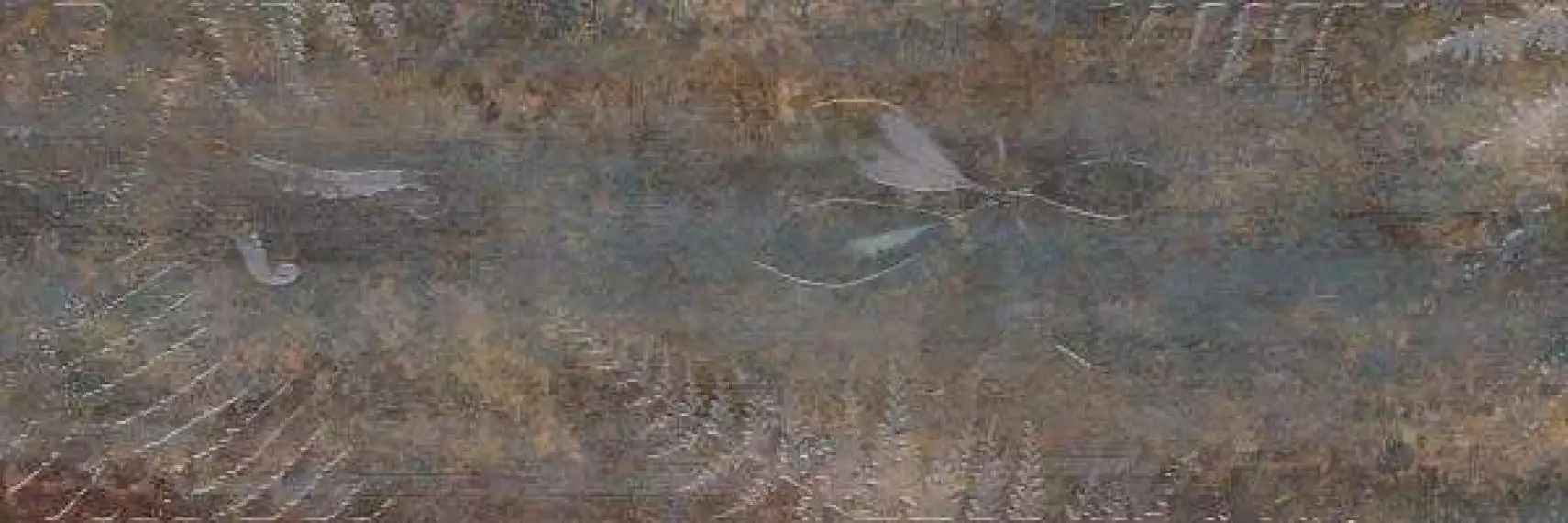 Kalahari Rust Inserto A 25x75