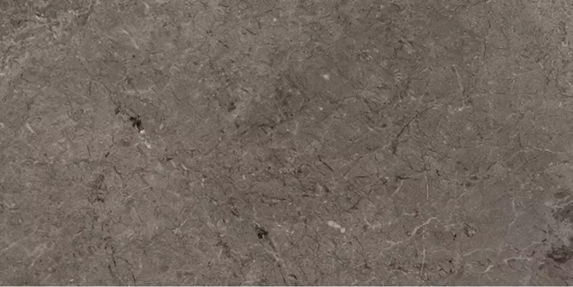 L108035361 Habana Grey Pulido 40x80