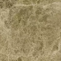 L116686001 Capuccino Pulido Bioprot 60x60