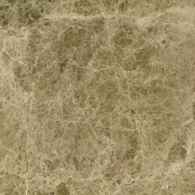 L116686001 Capuccino Pulido Bioprot 60x60