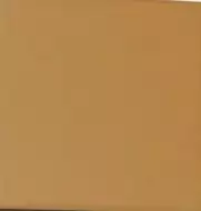 L4421 Square 9.6x9.6