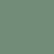 L4428-1Ch Light Green 28 - Loose 10х10
