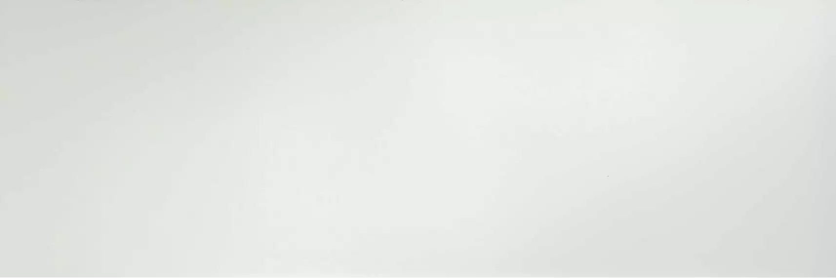 LAMF002879_IT Filo Brina 1000x3000x3.5