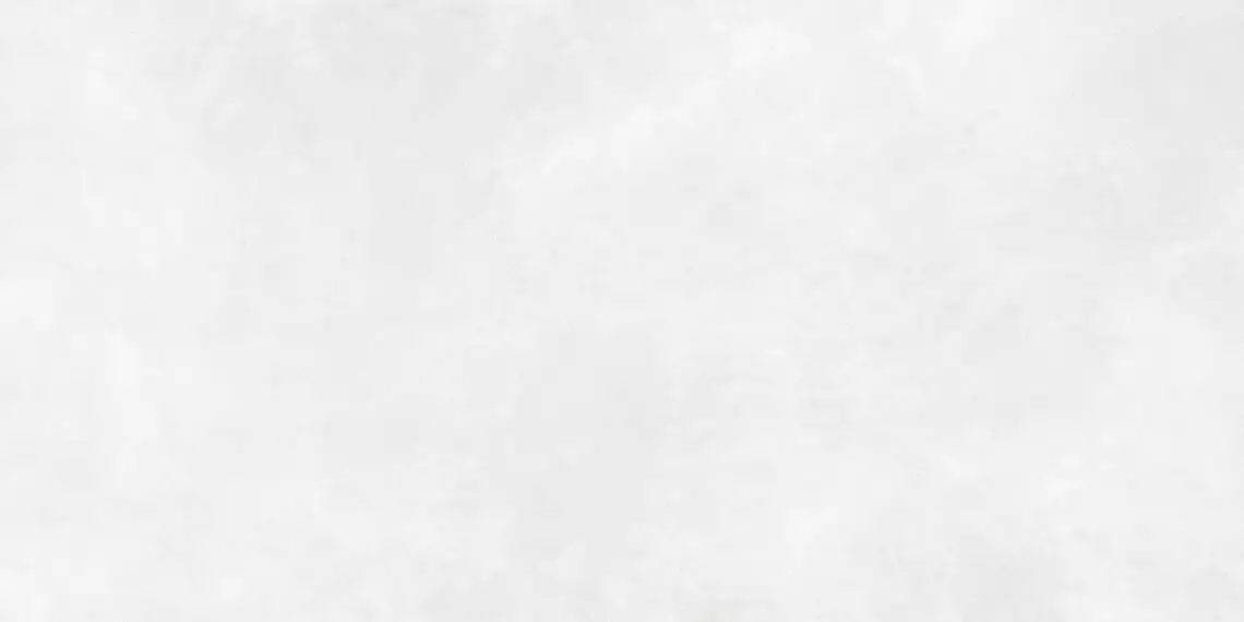 LAMF007693_IT Calce Bianco R10 1620x3240x5.5