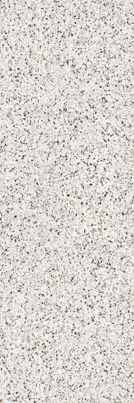 LAMF009796 Керамогранит Terrazzo Bianco Venezia 5 1000x3000