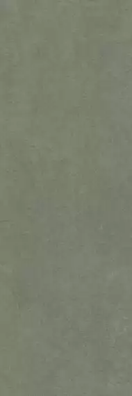 LAMF012160 Керамогранит Gemini Muschio 2+ 1000x3000