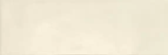 LEED BEIGE 20x60