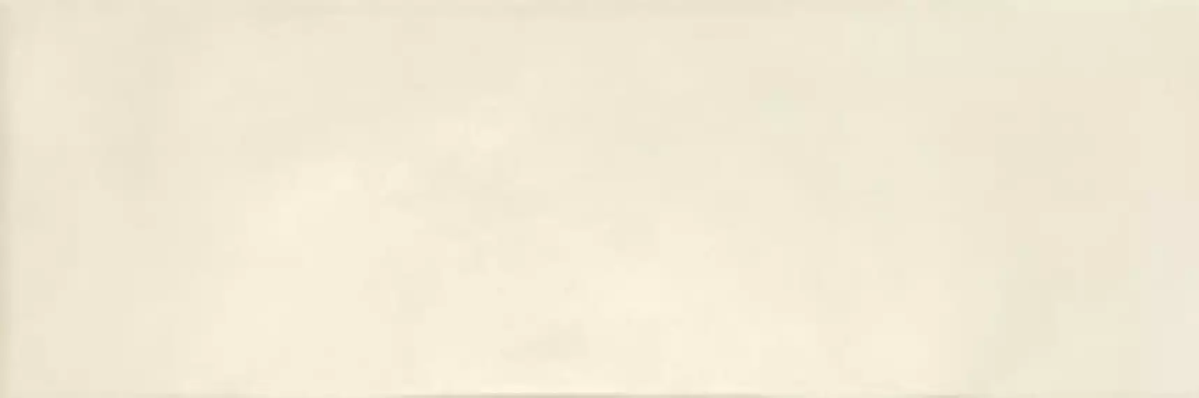 LEED BEIGE 20x60