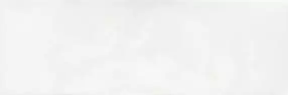 LEED BLANCO 20x60