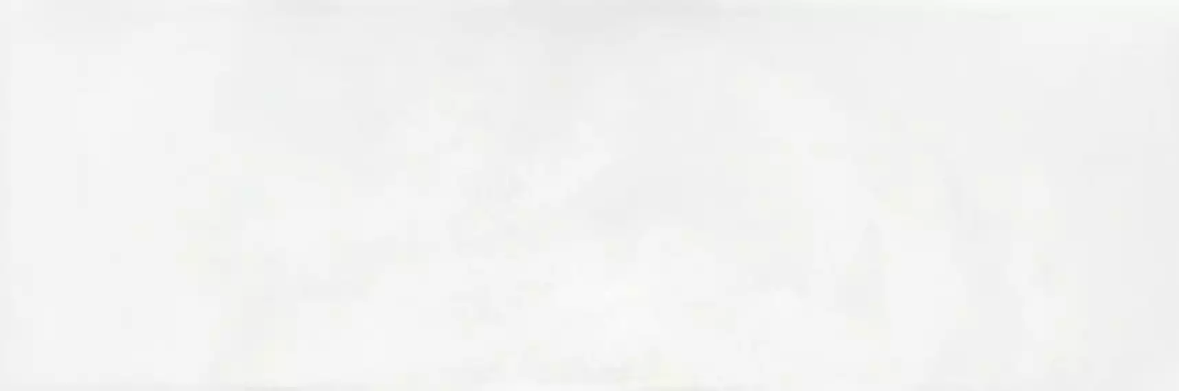 LEED BLANCO 20x60