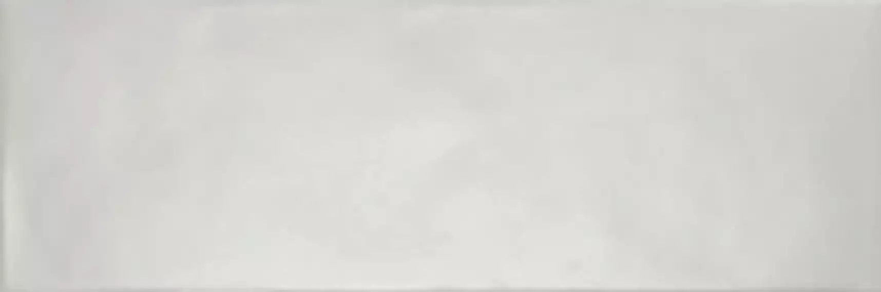 LEED GRIS 20x60