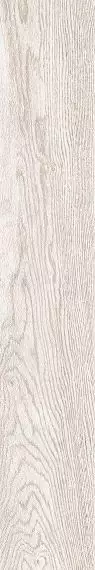 LEGNO 2012W RM 20x120