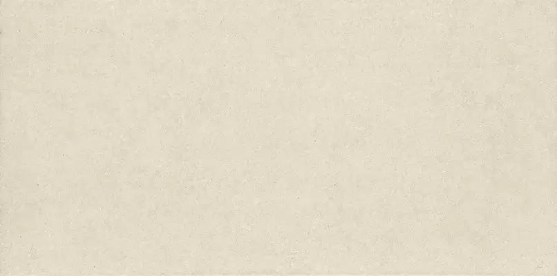 LF 00 Loft лаппатированный 60x120x1.0