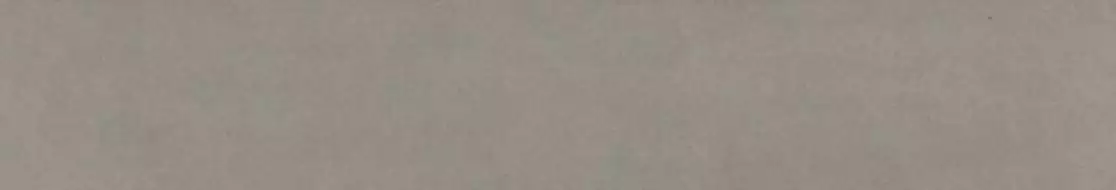 LF 02 Loft неполированный 20x120