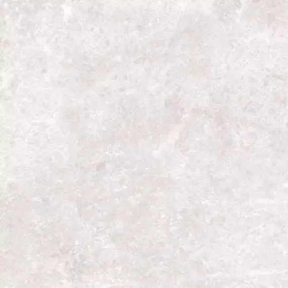 LIGHT GREY POLISHED 60x60