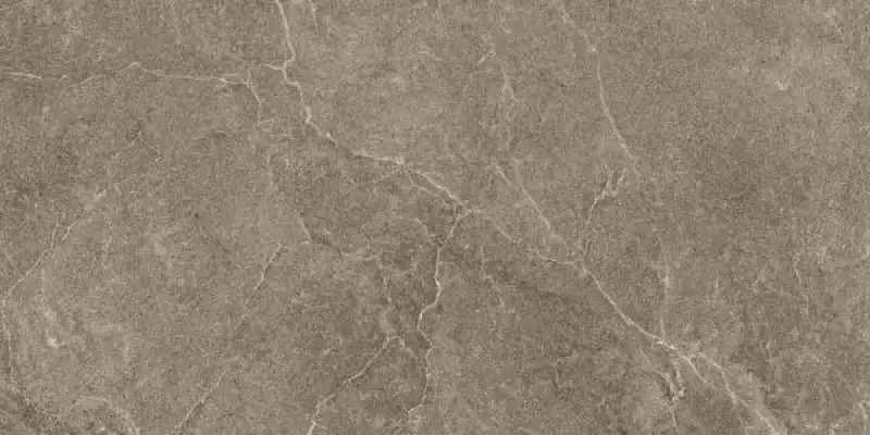 LITHOS TILES NATURAL DESERT 60x120