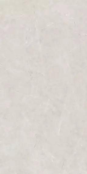 LIVIN LIGHT GREY 60x120