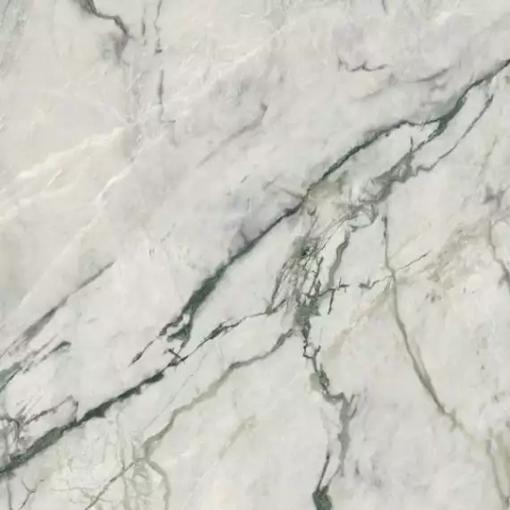 LS8S500 CALACATTA EMERALD SMOOTH 120x120