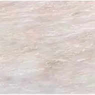 LSR0029 Peonia 60*60