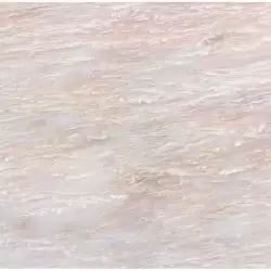 LSR0029 Peonia 60*60