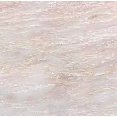LSR0029 Peonia 60*60