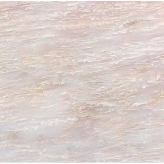LSR0029 Peonia 60*60