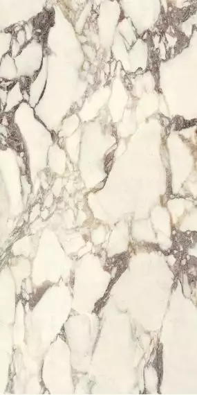 LU628551 Керамогранит Breccia Medicea Lucido 8mm 60x120