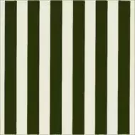 Lady Verde Botella 20x20