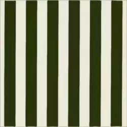 Lady Verde Botella 20x20