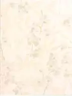 Lazio WITKB054 25*33