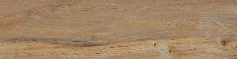 Leccio Classico 10x40