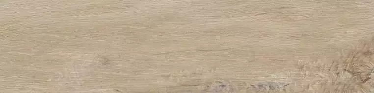 Leccio Gentile 10x40