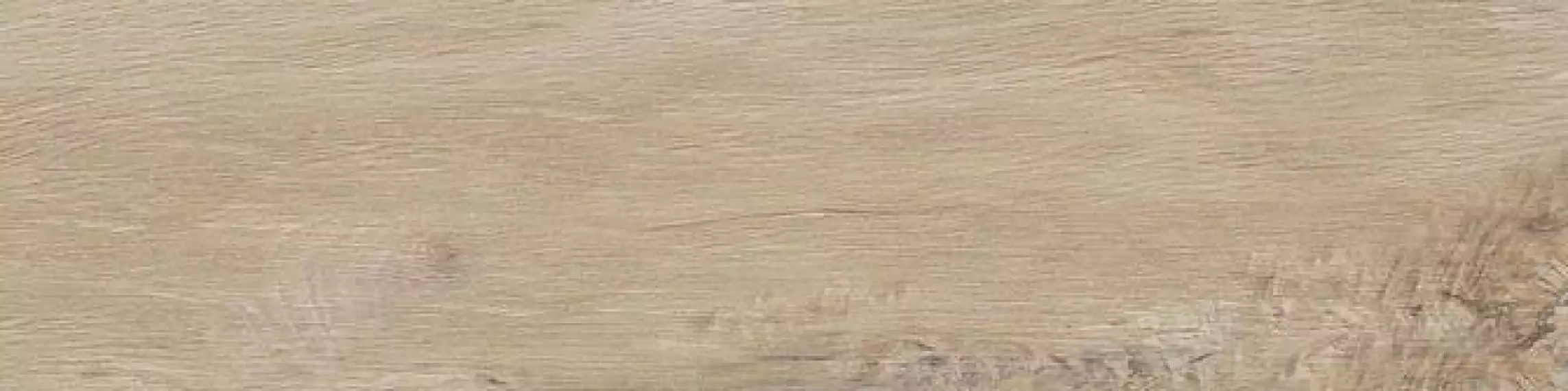 Leccio Gentile 10x40