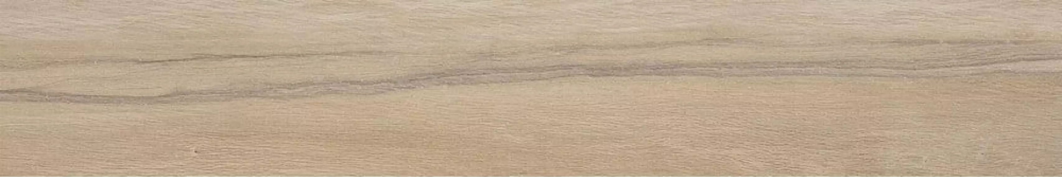 Leccio Gentile Ret 20x120