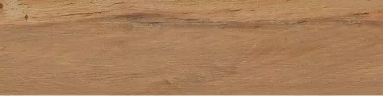 Leccio Oliato 10x40
