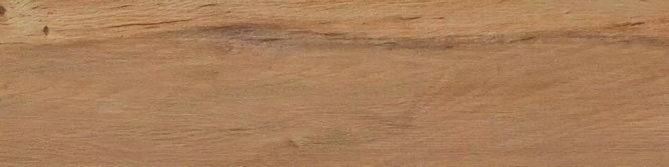 Leccio Oliato 10x40