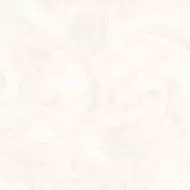 Levin Ivory Glossy 60x60