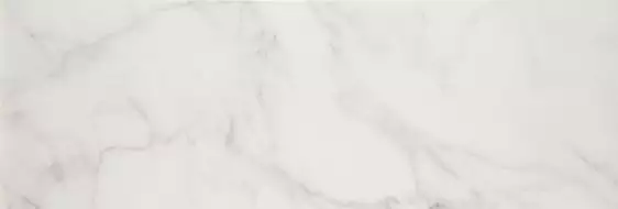 Licas Blanco 40x120