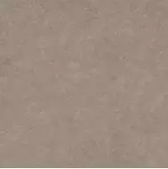 Light Stone Taupe 60x60