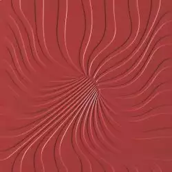 Lily Corallo Ret.Sat. 50x50