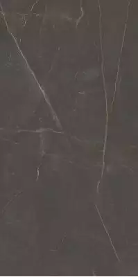 Linearstone Brown 59.8x119.8