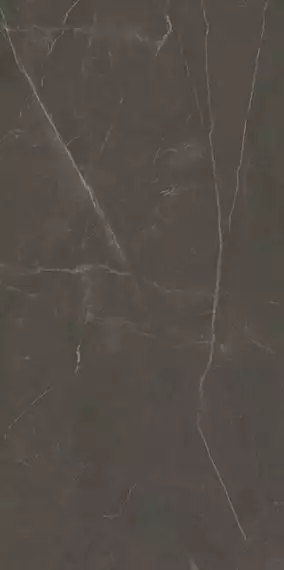 Linearstone Brown 59.8x119.8