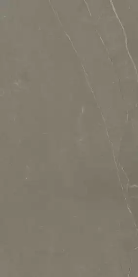 Linearstone Taupe 59.8x119.8