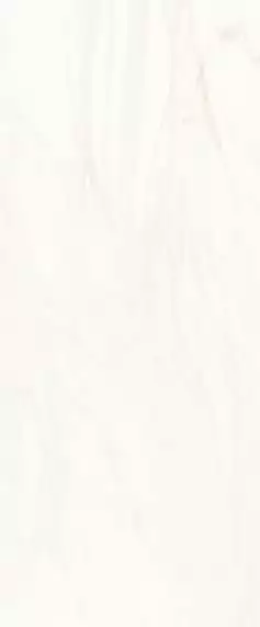 Lira light beige 01 25x60